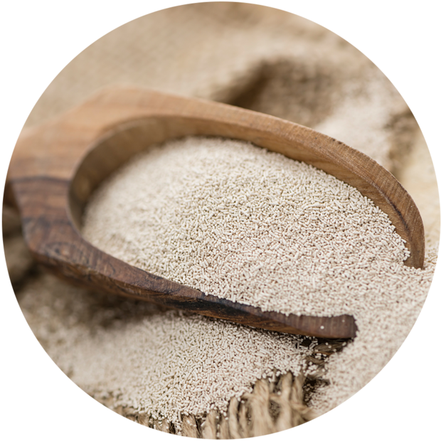 Ein Holzlöffel liegt auf einem Haufen von hellem, feinem Mehl oder Hefe. Die runde Form des Löffels hebt sich deutlich von der Textur des Mehls ab.